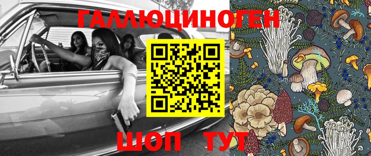 Арзамас  Псилоцибиновые грибы Psilocybine cubensis  Вход с VPN 