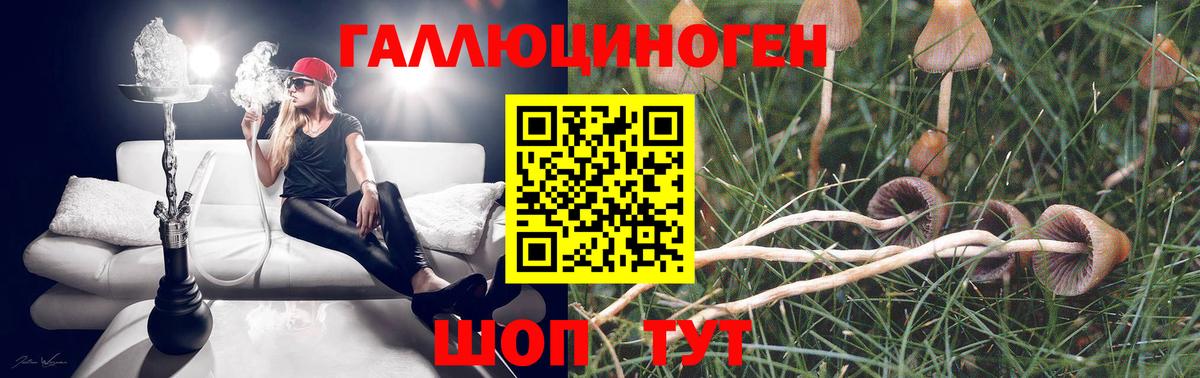 Псилоцибиновые грибы прущие грибы Арзамас